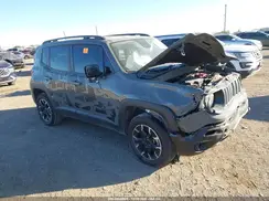 ZACNJDB17PPP56586 2023 JEEP RENEGADE