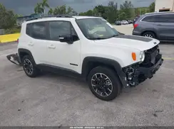 ZACNJDB17PPP68785 2023 JEEP RENEGADE