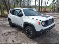 ZACNJDB19PPP41832 2023 JEEP RENEGADE