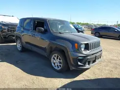 ZACNJDB19PPP60641 2023 JEEP RENEGADE