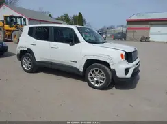ZACNJDB19PPP67153 2023 JEEP RENEGADE