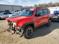 ZACNJDB1XPPP38812 2023 JEEP RENEGADE