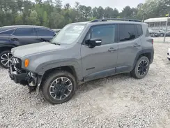 ZACNJDB1XPPP40785 2023 JEEP RENEGADE