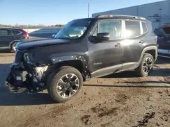 ZACNJDB1XPPP61667 2023 JEEP RENEGADE
