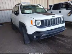 ZACNJDB1XPPP64147 2023 JEEP RENEGADE