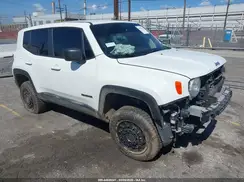 ZACNJDB1XPPP67193 2023 JEEP RENEGADE