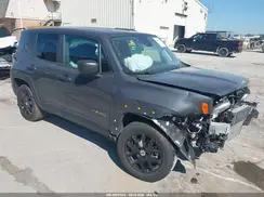 ZACNJDB1XPPP68229 2023 JEEP RENEGADE