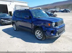 ZACNJDBB0MPM45649 2021 JEEP RENEGADE