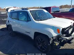 ZACNJDBB1MPM59074 2021 JEEP RENEGADE