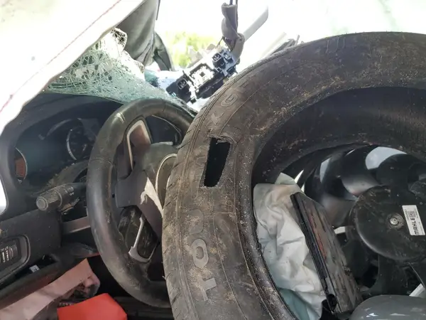ZACNJDBB4MPM55519 2021 JEEP RENEGADE - Image 8