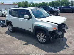 ZACNJDBB4MPN16805 2021 JEEP RENEGADE