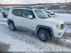 ZACNJDBB6MPM29200 2021 JEEP RENEGADE