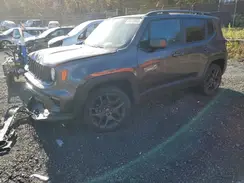 ZACNJDBB6MPN36733 2021 JEEP RENEGADE
