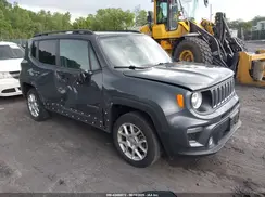 ZACNJDBB7MPN35803 2021 JEEP RENEGADE