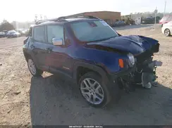 ZACNJDBB8MPM65552 2021 JEEP RENEGADE