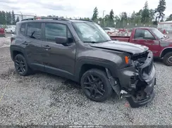 ZACNJDBB8MPM77202 2021 JEEP RENEGADE