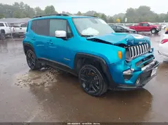 ZACNJDBBXMPM65598 2021 JEEP RENEGADE