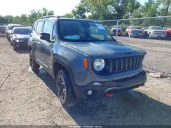 ZACNJDC11PPP12307 2023 JEEP RENEGADE