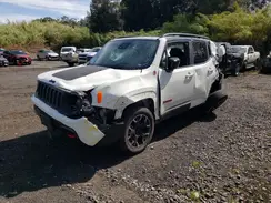 ZACNJDC11PPP71146 2023 JEEP RENEGADE