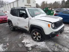 ZACNJDC12MPM74558 2021 JEEP RENEGADE