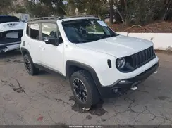 ZACNJDC12PPP17029 2023 JEEP RENEGADE
