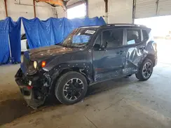 ZACNJDC16PPP63365 2023 JEEP RENEGADE
