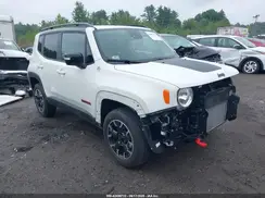 ZACNJDC17PPP43612 2023 JEEP RENEGADE