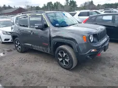 ZACNJDC18MPM29785 2021 JEEP RENEGADE