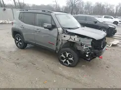 ZACNJDC18MPM66481 2021 JEEP RENEGADE