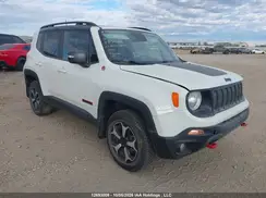 ZACNJDC19MPN26266 2021 JEEP RENEGADE