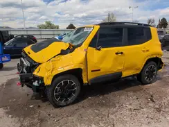 ZACNJDC1XPPP60047 2023 JEEP RENEGADE