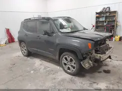 ZACNJDD10PPP21711 2023 JEEP RENEGADE