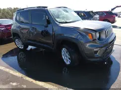 ZACNJDD12MPM20224 2021 JEEP RENEGADE