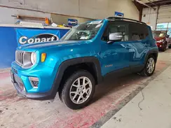 ZACNJDD12MPM45219 2021 JEEP RENEGADE