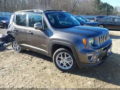 ZACNJDD12MPM92816 2021 JEEP RENEGADE