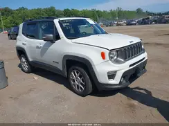 ZACNJDD19MPM21502 2021 JEEP RENEGADE