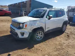 ZACNJDD1XMPM54069 2021 JEEP RENEGADE
