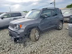 ZACNJDD1XPPP12076 2023 JEEP RENEGADE