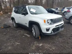 ZACNJDD1XPPP15639 2023 JEEP RENEGADE