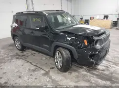 ZACNJDD1XPPP20162 2023 JEEP RENEGADE
