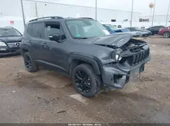 ZACNJDE10PPP34215 2023 JEEP RENEGADE