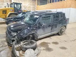 ZACNJDE15PPP19015 2023 JEEP RENEGADE