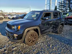 ZACNJDE19PPP22273 2023 JEEP RENEGADE
