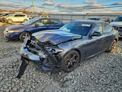 ZARFANBN2R7681513 2024 ALFA ROMEO GIULIA
