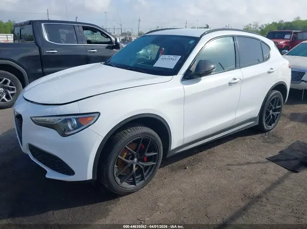 ZASPAJAN0K7C69628 2019 ALFA ROMEO STELVIO - Image 2