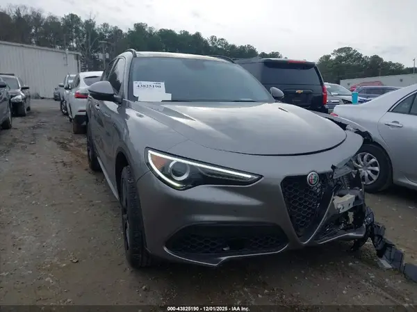ZASPAJAN1K7C38050 2019 ALFA ROMEO STELVIO