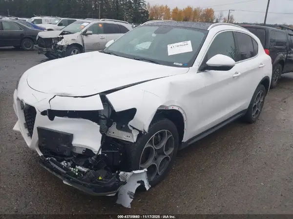 ZASPAJAN3K7C57831 2019 ALFA ROMEO STELVIO - Image 2