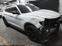 ZASPAJAN3K7C70823 2019 ALFA ROMEO STELVIO
