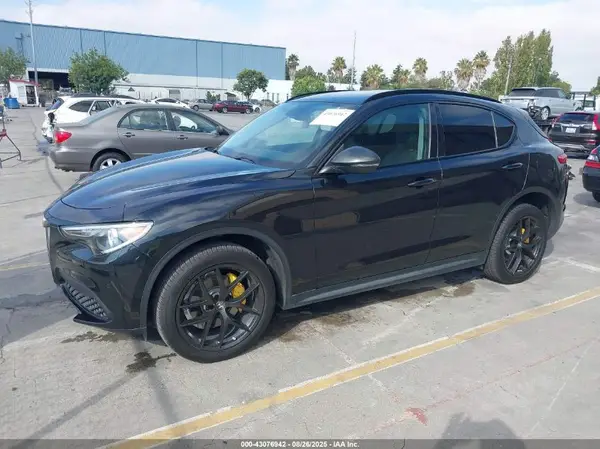 ZASPAJAN3K7C70966 2019 ALFA ROMEO STELVIO - Image 2