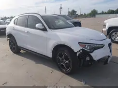 ZASPAJAN4K7C39872 2019 ALFA ROMEO STELVIO